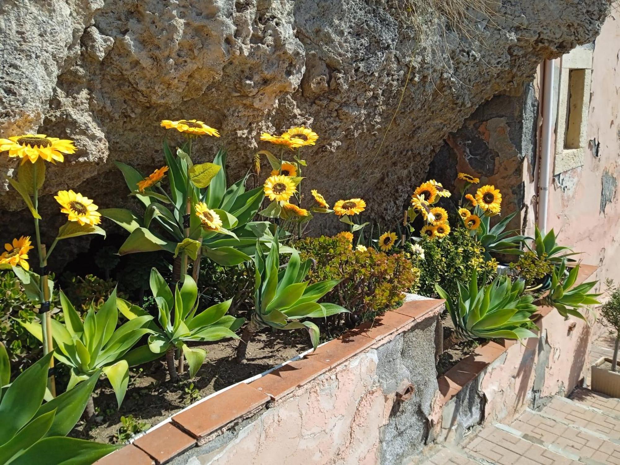 La Casetta Sul Mare 韦内蒂科 客房 照片